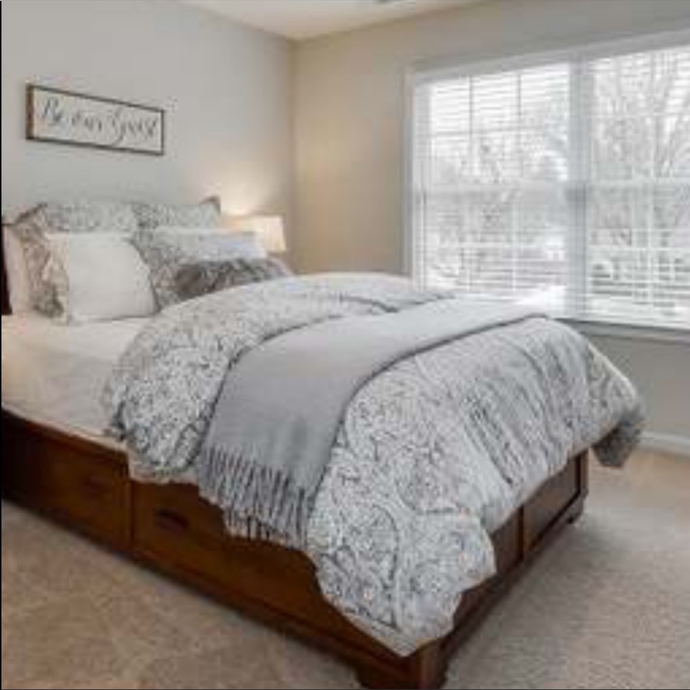 Pottery barn McKenna Paisley queen duvet 2 Euro shams